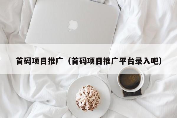 首码项目推广（首码项目推广平台录入吧）
