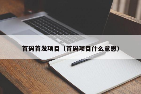 首码首发项目（首码项目什么意思）